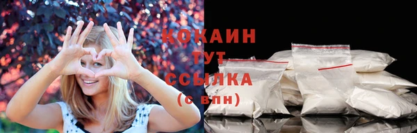 прущий лед Шали