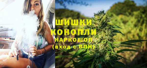 прущий лед Шали