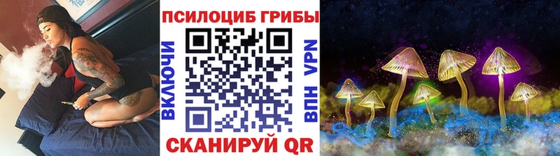 Псилоцибиновые грибы GOLDEN TEACHER  МЕГА зеркало  Абаза 