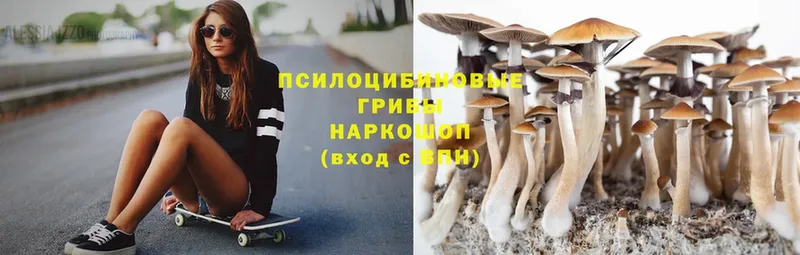 Псилоцибиновые грибы Magic Shrooms  купить закладку  Абаза 